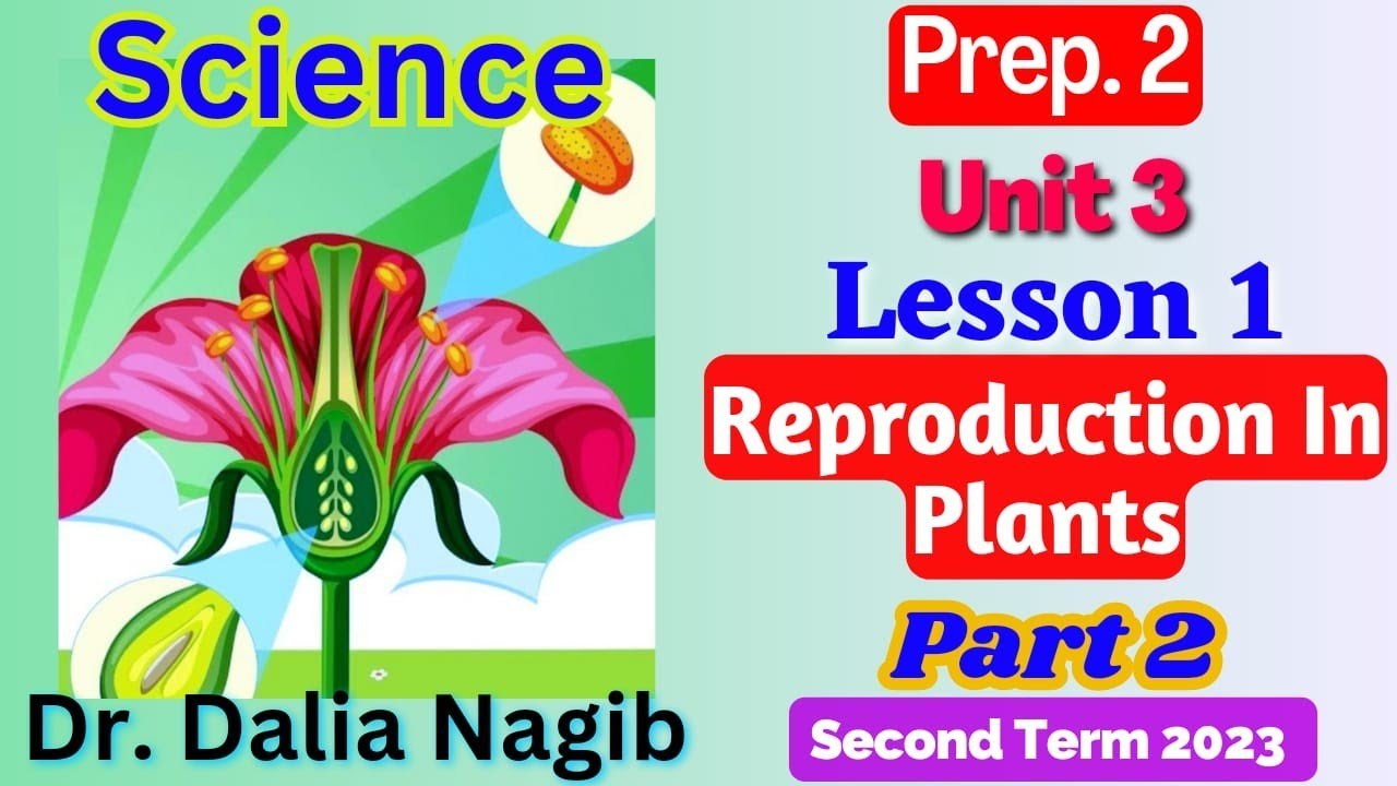 Science Prep 2 Unit 3 Lesson 1 Reproduction In Plants | Part 2 ساينس ...