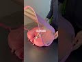 Bóia Flutuador Piscina Segurança Do Bebê Com Proteção Uv Rosa