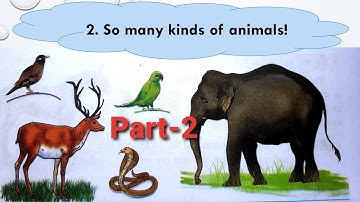 So many kinds of animals | lesson 2 |Standard 3|Environmental Studies