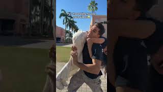 Pov Those Bring Me Your Crush Videos .Gilmore