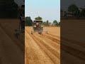 muskmelon bed work #shorts #shortvideo #farming