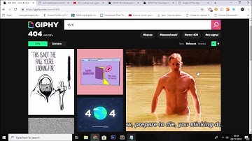 Using The Giphy API for HTTP Status Code Messages