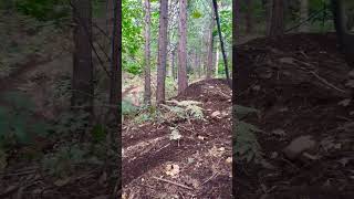 Enduro track