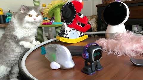 EMO Pet Robot - 4 Ways To Turn Off Your EMO