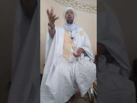 المجلسي وعلماء شنقيط الذين أنكروا الإحتفال بالمولد