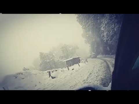 FREEZY SHIMLA 2019