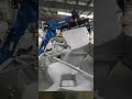 Standard max Depalletizing