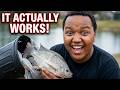 How to catch fish without a fishing pole | Stomedy Youtube