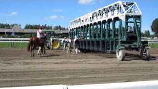 Saratoga Track - Views from the Backstretch