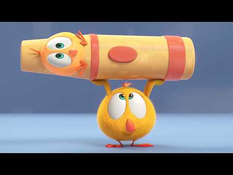 Chicky and his big toy | Where's Chicky? | Cartoons for Kids