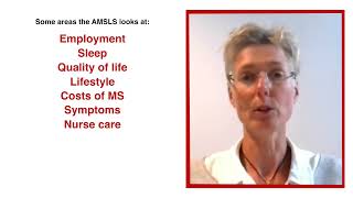 20 Years of the AMSLS