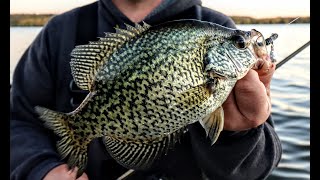 Jig Trolling for Fall Crappies