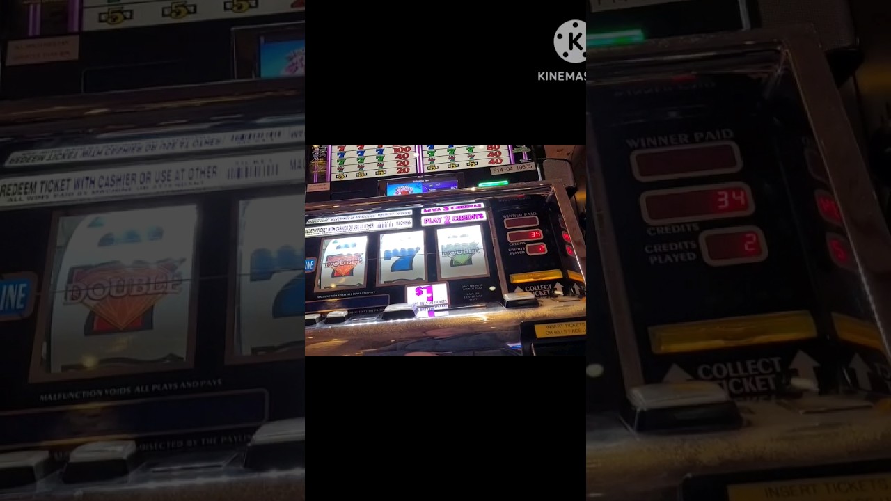 subscribe | 7's landed 