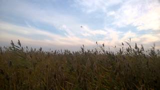 WP 20140913 004