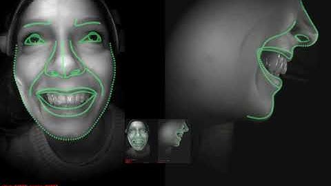 Tracking more than 1000 landmarks in real-time on the CPU.