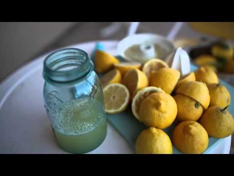 How To Make Fresh Citroensorbet / Lemon Sorbet Recept