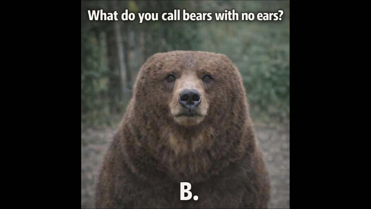 😆Funny Memes, Puns & Jokes 😆 Episode 371 😆 TRY NOT TO LAUGH 😆 BIG Compilation 😆Best On the Internet!