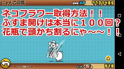 にゃんこ 大 戦争 ネコ フラワー 入手 方法