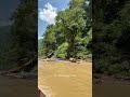 Deep Jungle River Expedition: Pristine Nature vs. Reality 🌿🚤 #Shorts #RiverLife #Borneo