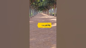 تلاوة خاشعة لسورة المرسلات | صوت يلامس القلب 🌙