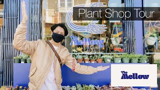 Plant Shop Tour | The Mellow SF Grand Opening