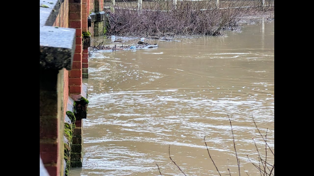 River Mole in Flood