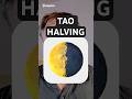 Bittensor TAO Halving – Making TAO More Valuable Over Time