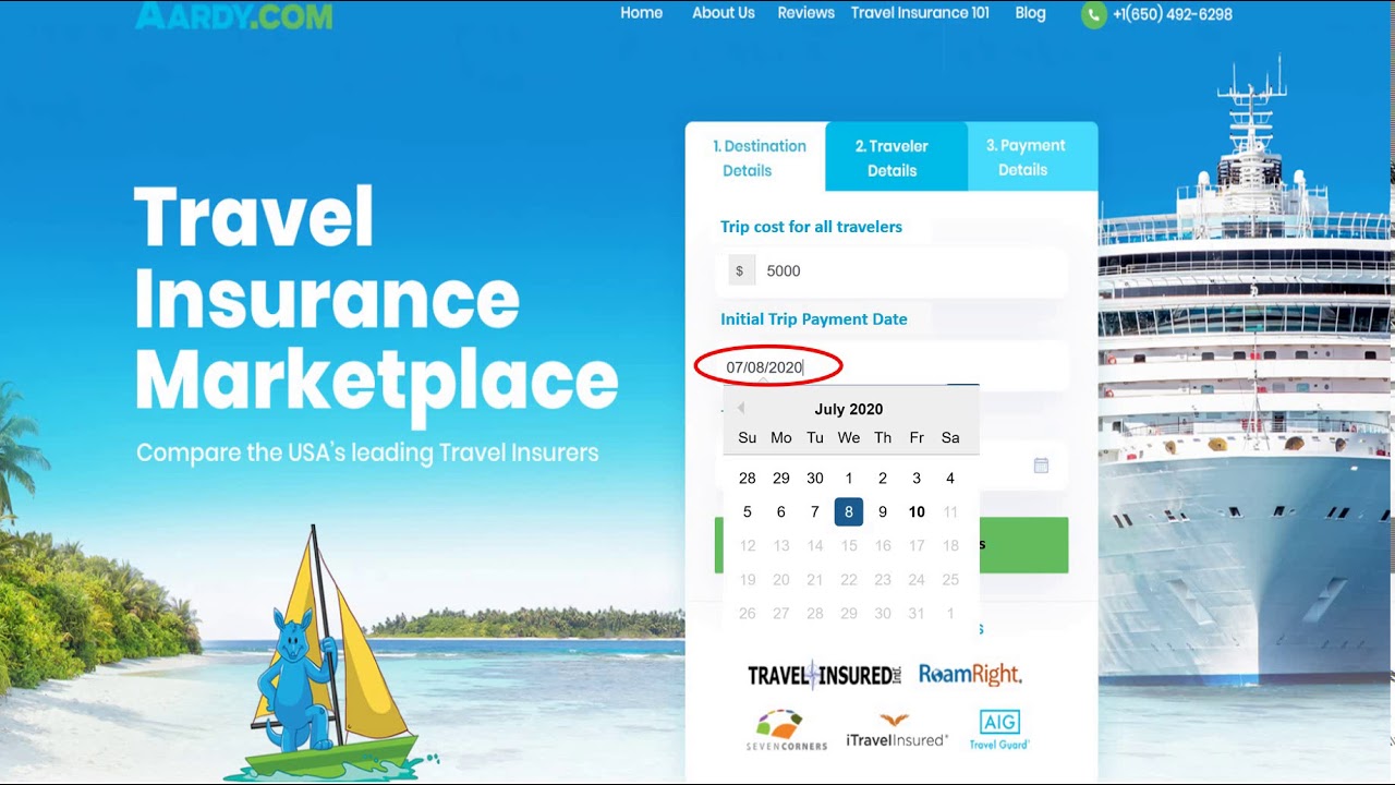 ana airlines travel insurance