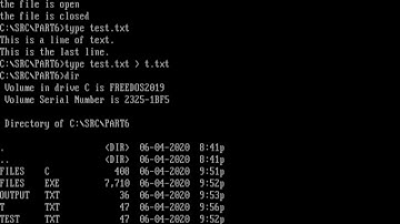 Programming in FreeDOS (files)