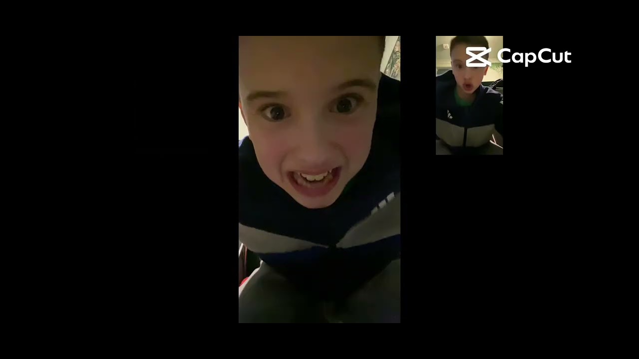 Fnaf jumpscares my version 