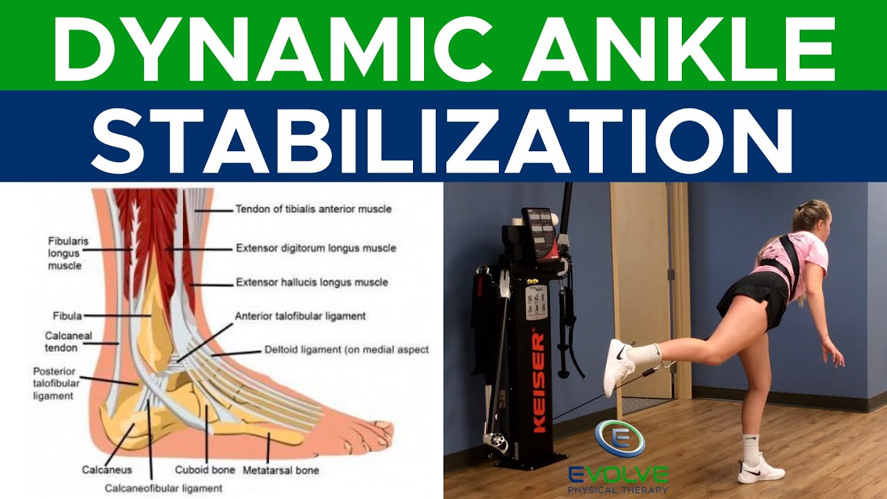 Improving Dynamic Ankle Stability