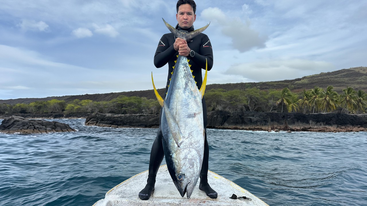 Spearfishing Tuna with the HammaH Jang Crew