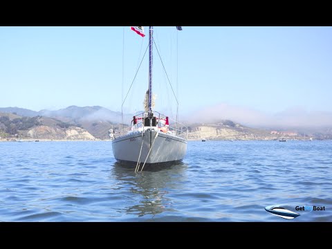Video: San Diego banginių stebėjimas – kaip ir kada juos pamatyti