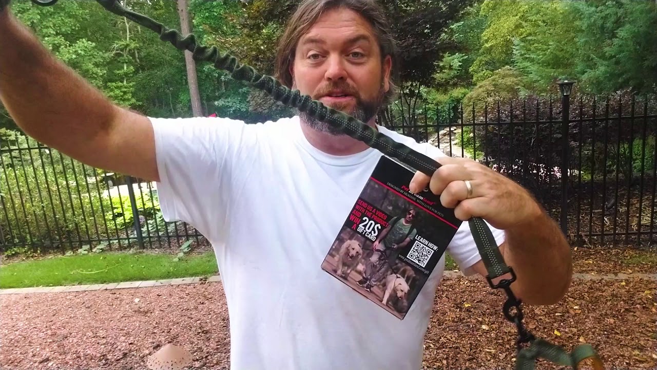 Pet Dreamland Double Dog Retractable HandsFree Leash YouTube