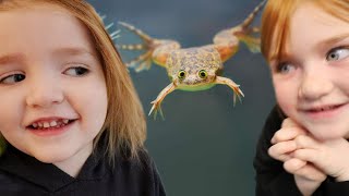 FROG for NiKO!! Adley gets a PET SNAiL! more friends for our pirate island fish tank! surprising mom