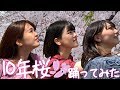 【踊ってみた】AKB48「10年桜🌸」 (スマイルポンチver.)