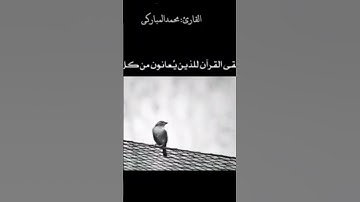 وذا النون اذ ذهب مغضبا القارئ : محمد المباركي