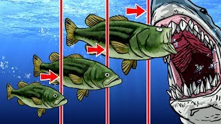 Roblox | REALISTIC LIFE CYCLE OF A FISH - Shark Attack! (Roblox Fish Simulator) screenshot 1