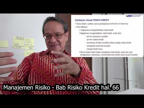 Gambaran Umum Risiko Kredit - Dr. Muchlis, MBM