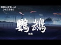 任然 - 鸚鵡【動態歌詞Lyrics】