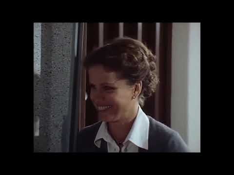 Der Führerschein (TV-Film, BRD 1978)