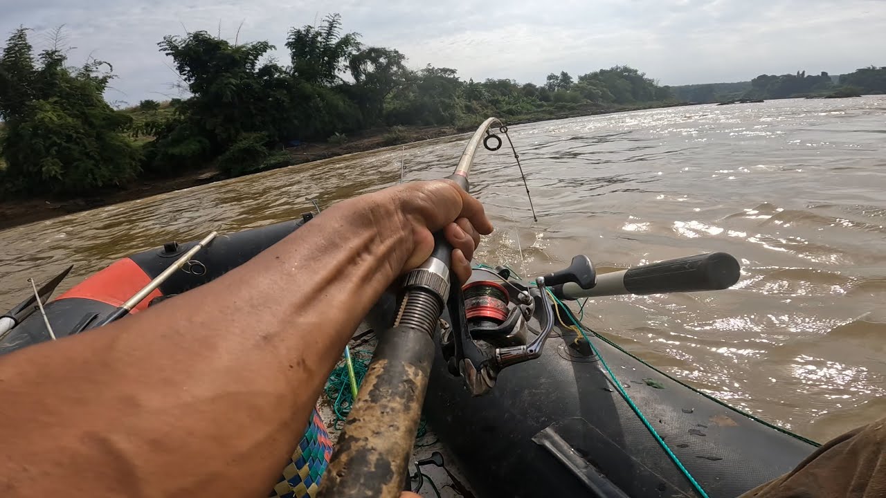 Cuối cùng cũng lên, tranh thủ nước cạn đi săn cá Hàn Tam Đẳng ✅