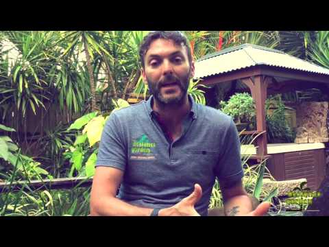 Video: Desain Taman Rock Cairns - Menggunakan Cairns Di Taman