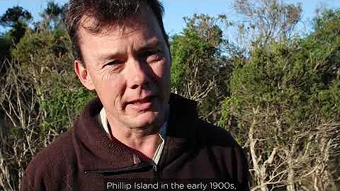 Science & Conservation Snapshots - Fox Detection Dogs