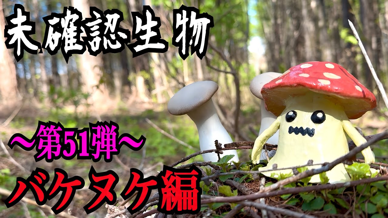Cryptid] I Can't Go Home Until I Find a Bakenuke!!!! - YouTube