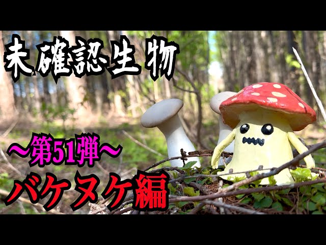 Cryptid] I Can't Go Home Until I Find a Bakenuke!!!! - YouTube