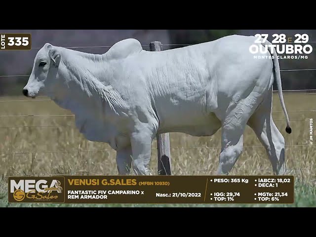 LOTE 335   MFBN 10930