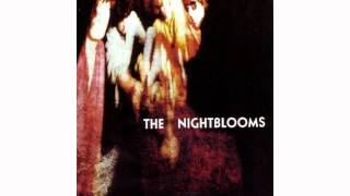 Video thumbnail of "The Nightblooms - A Thousand Years"