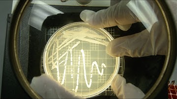 We Are Planetary Protection