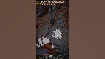 Minecraft skull edit(tas)